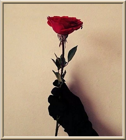 A Muslim Woman is Kind and Gentle