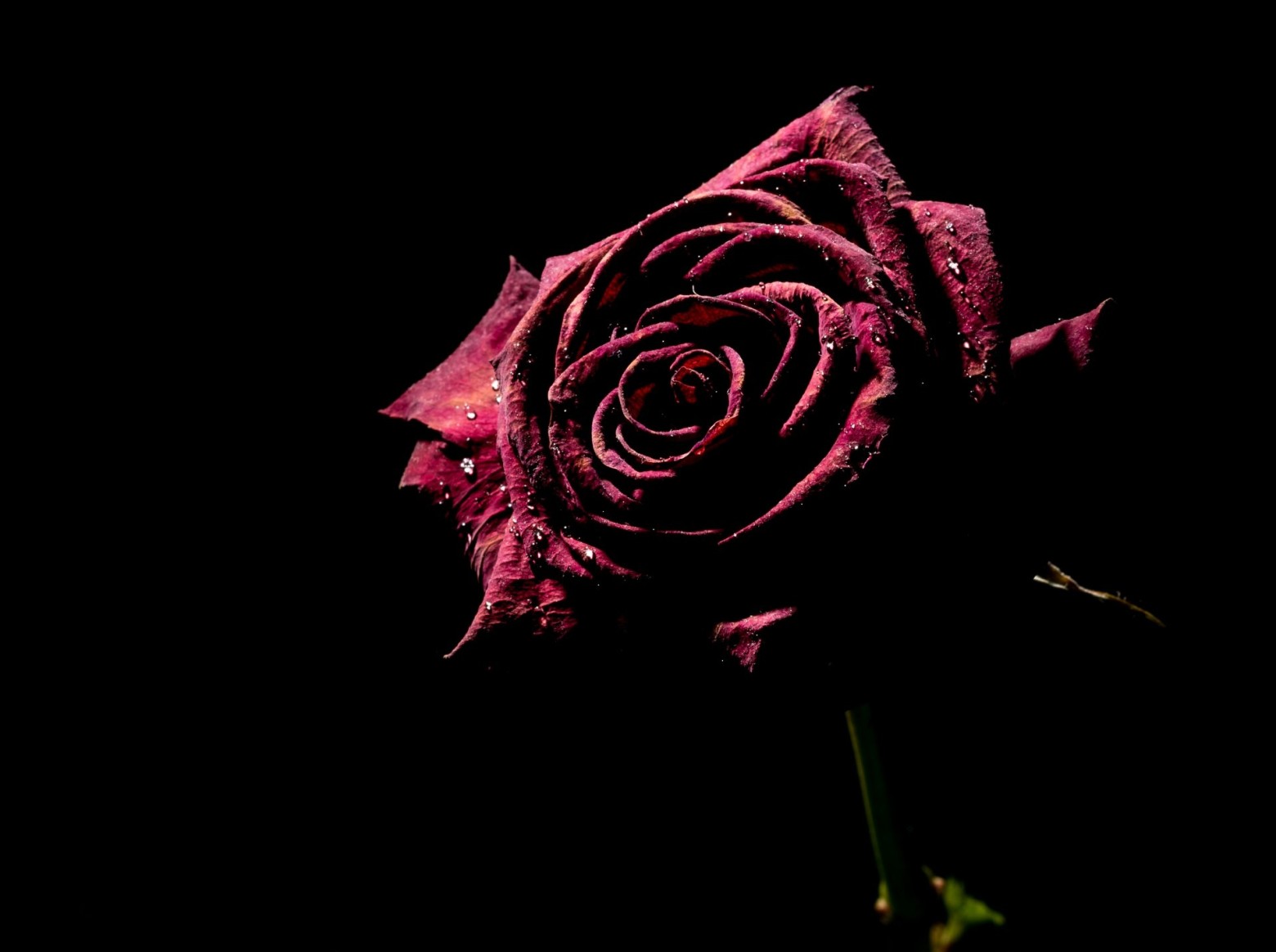 Natural Blood Of Women – Shaykh Al-Uthaymeen
